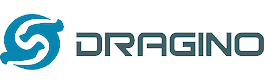 Company team